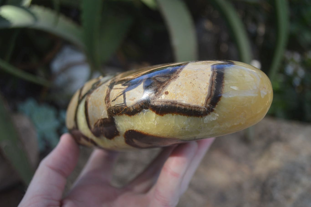 Polished Septerye Standing Free Forms  x 2 From Madagascar - Toprock Gemstones and Minerals 