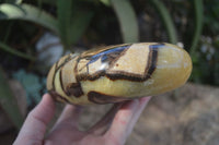 Polished Septerye Standing Free Forms  x 2 From Madagascar - Toprock Gemstones and Minerals 