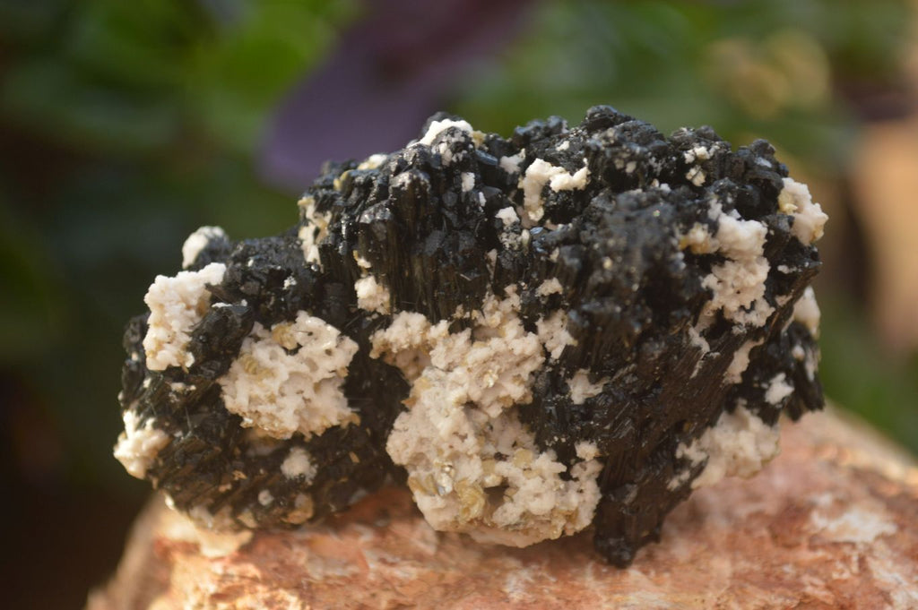Natural Schorl Black Tourmaline In Vermiculite Mica Specimens x 24 From Erongo, Namibia - Toprock Gemstones and Minerals 