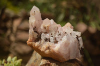 Natural Candle Quartz Clusters  x 5 From Madagascar - TopRock