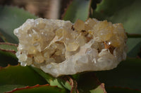 Natural Limonite Quartz Clusters x 3 From Solwezi, Zambia - Toprock Gemstones and Minerals 