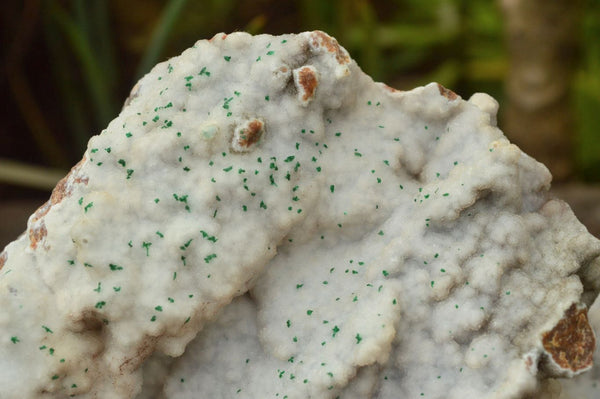 Natural Drusy Dolomite With Silky Malachite Crystals  x 1 From Congo - TopRock