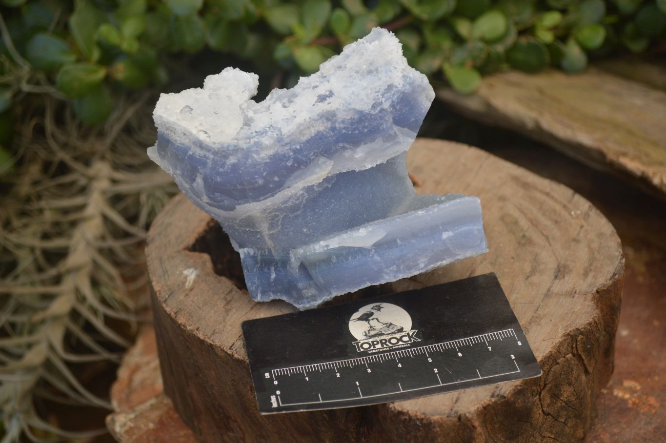 Natural Etched Blue Chalcedony Specimens  x 3 From Nsanje, Malawi - Toprock Gemstones and Minerals 