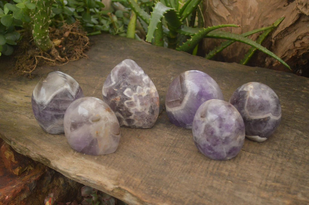 Polished Smokey Dream Amethyst Standing Free Forms  x 6 From Madagascar - Toprock Gemstones and Minerals 