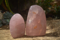 Polished Pink Rose Quartz Standing Free Forms x 2 From Ambatondrazaka, Madagascar - TopRock