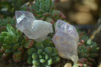 Natural Jacaranda Amethyst Crystals x 35 From Mumbwe, Zambia - Toprock Gemstones and Minerals 