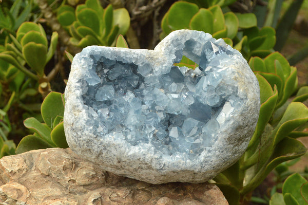 Natural Blue Celestite Geode Specimen x 1 From Sakoany, Madagascar - TopRock