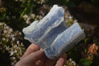 Natural Etched Blue Chalcedony Specimens  x 3 From Nsanje, Malawi - Toprock Gemstones and Minerals 