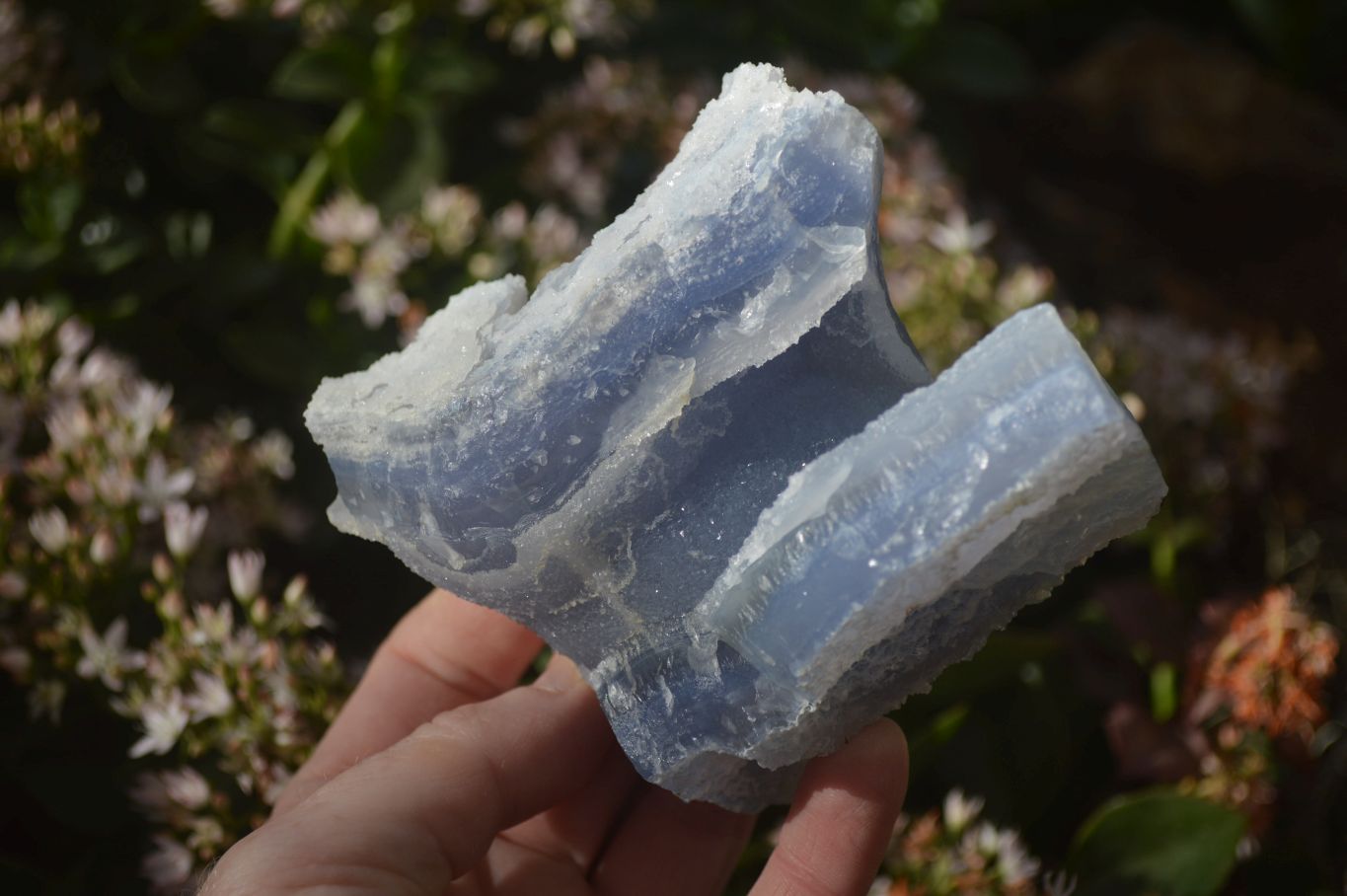 Natural Etched Blue Chalcedony Specimens  x 3 From Nsanje, Malawi - Toprock Gemstones and Minerals 