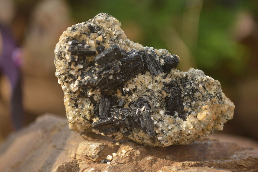 Natural Schorl Black Tourmaline In Vermiculite Mica Specimens x 24 From Erongo, Namibia - Toprock Gemstones and Minerals 