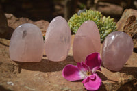 Polished  Pink Rose Quartz Standing Free Forms x 4 From Ambatondrazaka, Madagascar - TopRock