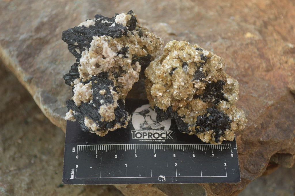 Natural Schorl Black Tourmaline In Vermiculite Mica Specimens x 24 From Erongo, Namibia - Toprock Gemstones and Minerals 