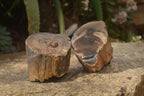 Polished Petrified Wood Branch Pieces x 2 From Gokwe, Zimbabwe - Toprock Gemstones and Minerals 