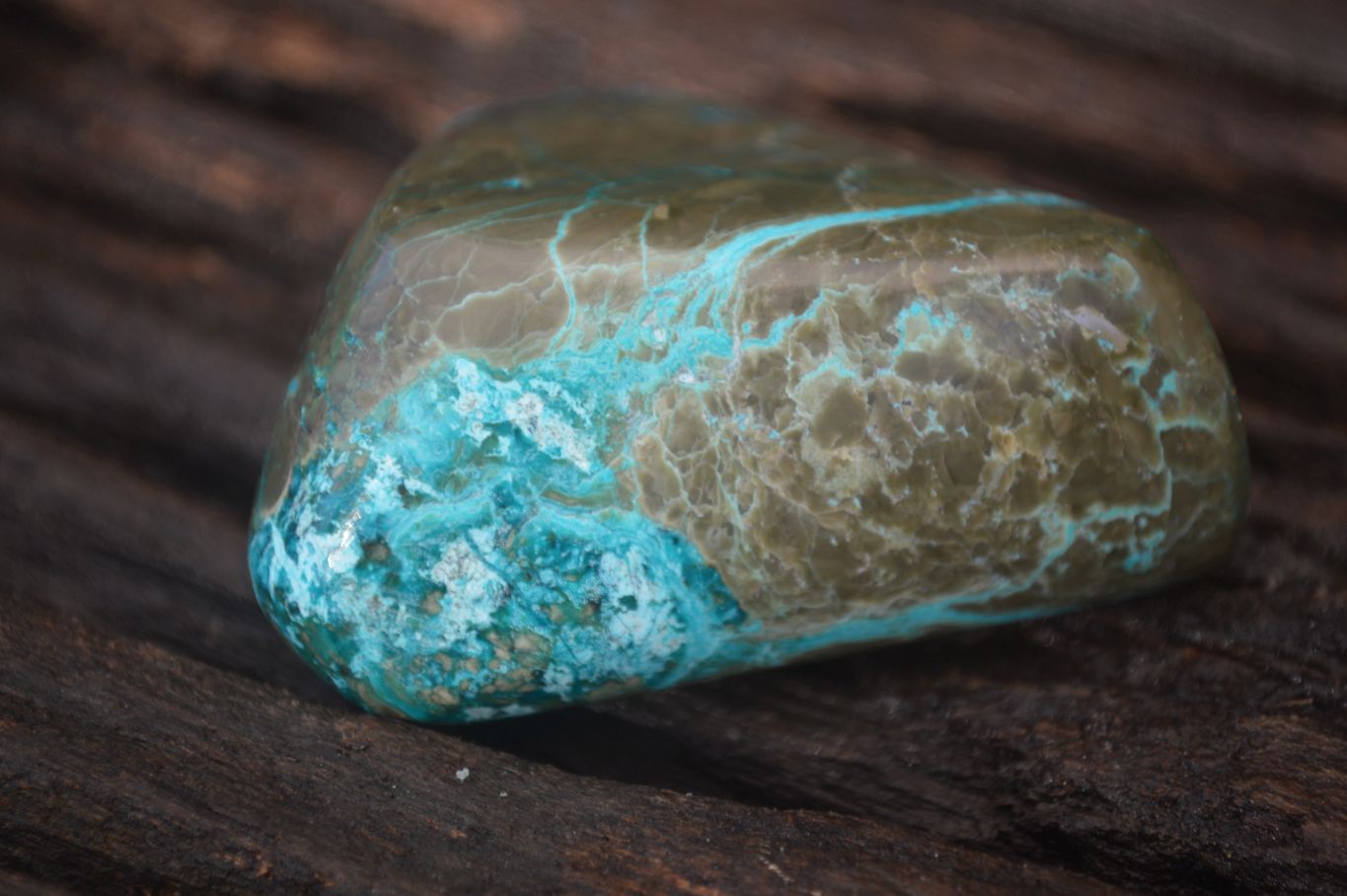 Polished Blue Shattuckite Free Forms  x 6 From Kaokoveld, Namibia - Toprock Gemstones and Minerals 