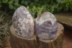 Polished Smokey Dream Amethyst Standing Free Forms  x 6 From Madagascar - Toprock Gemstones and Minerals 