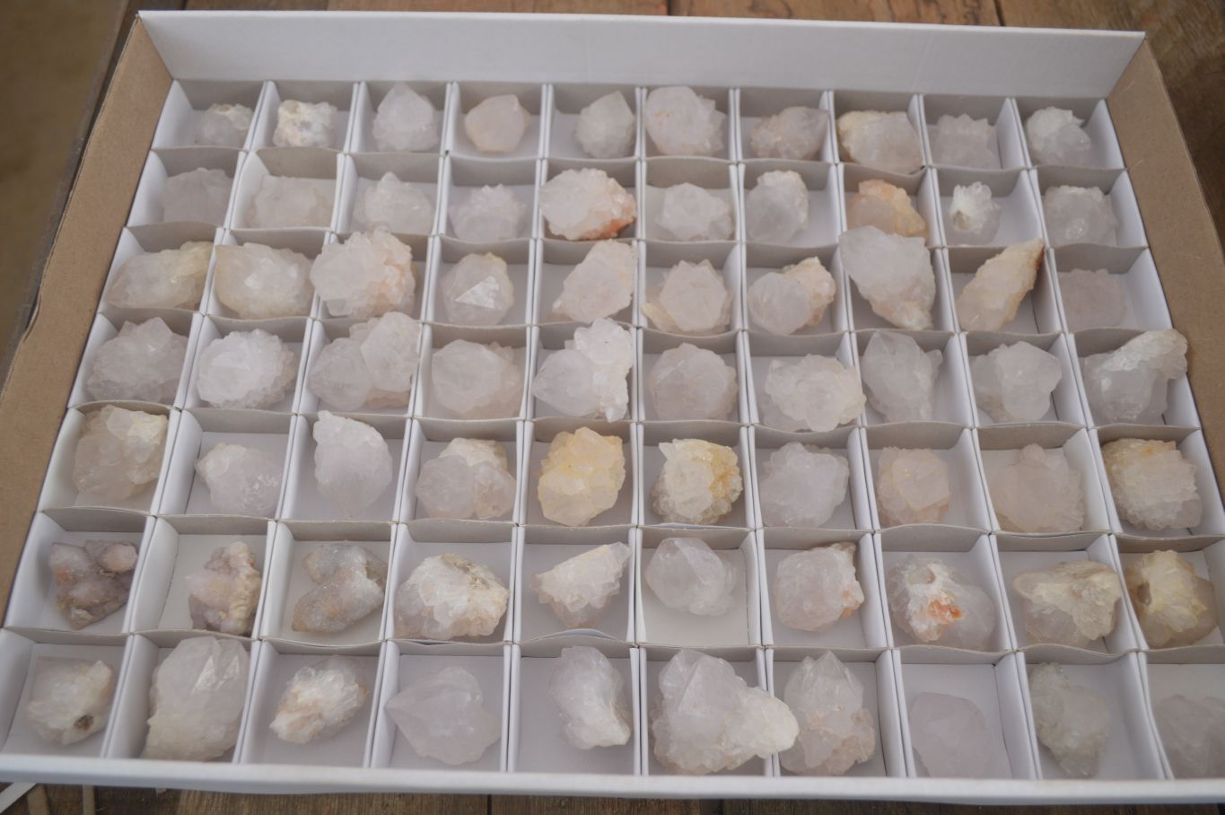 Natural White Cactus Flower Spirit Quartz Specimens x 70 From Boekenhouthoek, South Africa - Toprock Gemstones and Minerals 