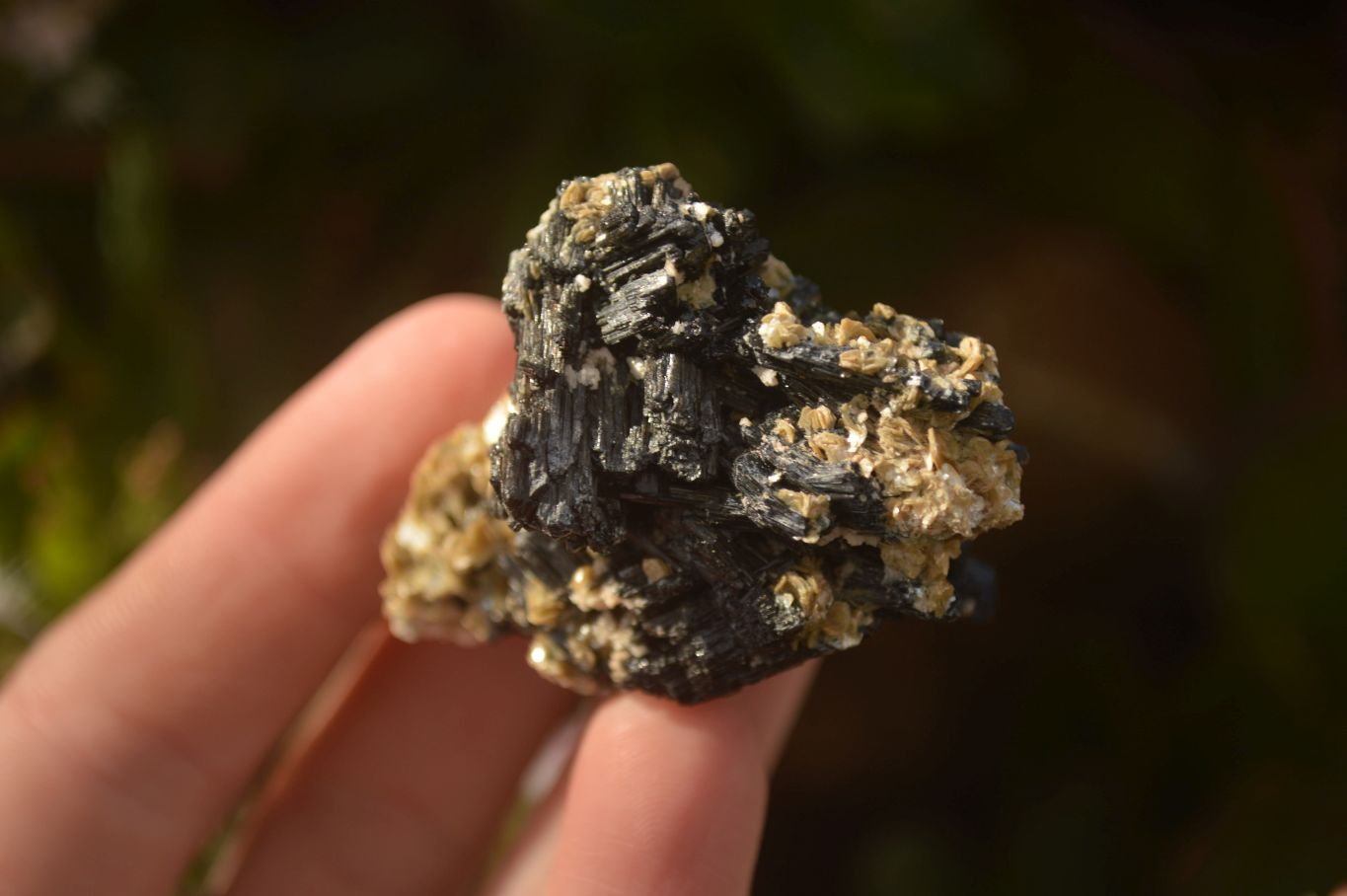 Natural Schorl Black Tourmaline In Vermiculite Mica Specimens x 24 From Erongo, Namibia - Toprock Gemstones and Minerals 