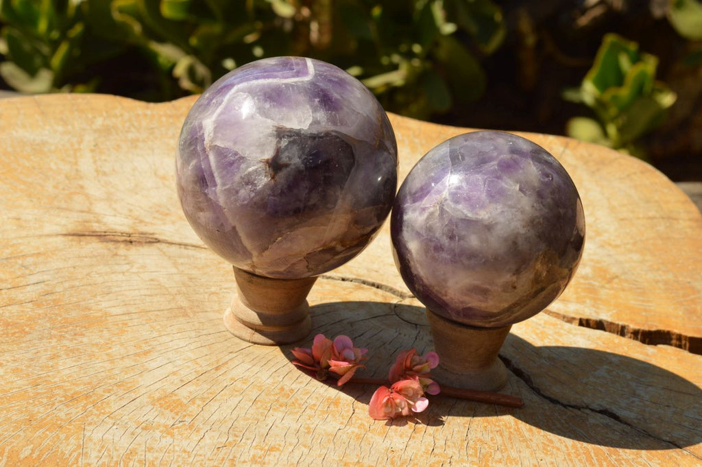 Polished Lovely Dark Dream Amethyst Spheres  x 2 From Madagascar - TopRock