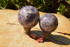 Polished Lovely Dark Dream Amethyst Spheres  x 2 From Madagascar - TopRock