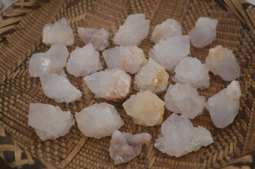 Natural White Cactus Flower Spirit Quartz Specimens x 70 From Boekenhouthoek, South Africa - Toprock Gemstones and Minerals 