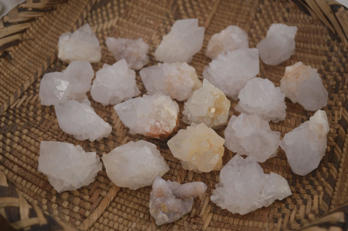 Natural White Cactus Flower Spirit Quartz Specimens x 70 From Boekenhouthoek, South Africa - Toprock Gemstones and Minerals 
