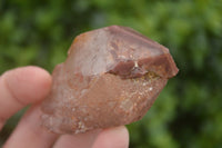 Natural Red Hematoid Quartz Specimens x 12 From Karoi, Zimbabwe - TopRock