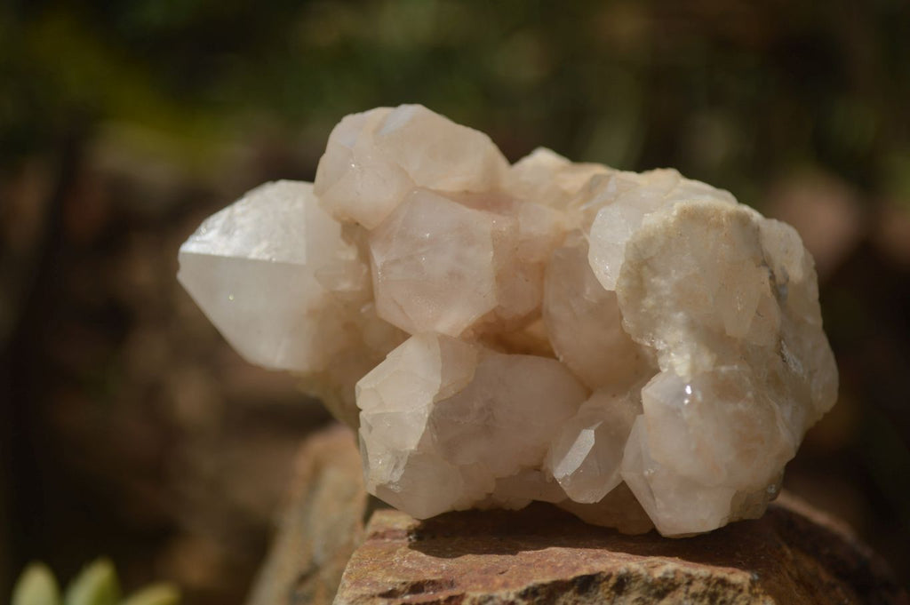 Natural Candle Quartz Clusters  x 5 From Madagascar - TopRock