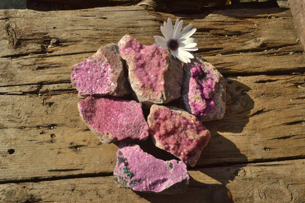 Natural Pink Salrose Cobaltion Dolomite Specimens  x 6 From Kakanda, Congo - TopRock
