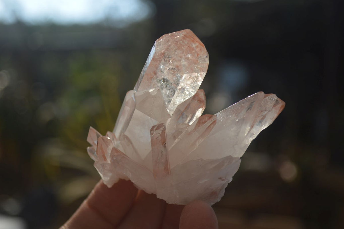 Natural Mixed Selection Of Minerals & Crystals  x 6 From Southern Africa - Toprock Gemstones and Minerals 