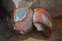 Polished One Side Polished Polychrome Jasper Nodules  x 6 From Mahajanga, Madagascar - Toprock Gemstones and Minerals 