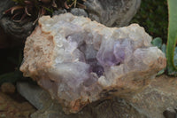 Natural Jacaranda Amethyst Cluster x 1 From Mumbwa, Zambia - TopRock