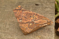 Natural Medium Cobbed Nguni Jasper Pieces - sold per 5 kg - From Northern Cape, South Africa - TopRock