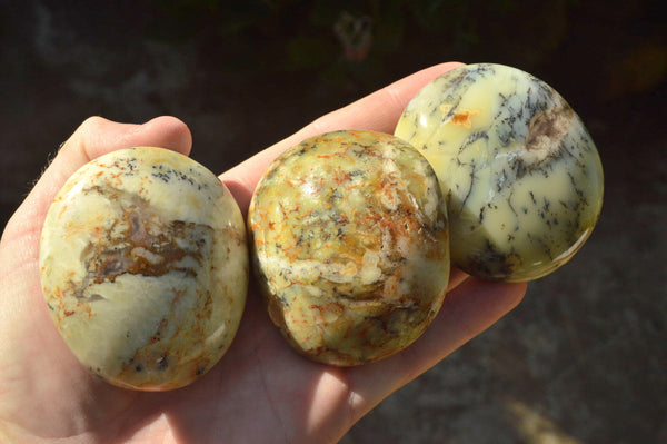 Polished Green & White Dendritic Opal Gallets x 12 From Madagascar - TopRock