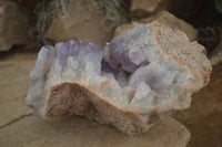 Natural Jacaranda Amethyst Cluster x 1 From Mumbwa, Zambia - TopRock