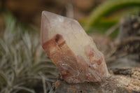 Natural Red Hematoid Quartz Specimens x 12 From Karoi, Zimbabwe - TopRock