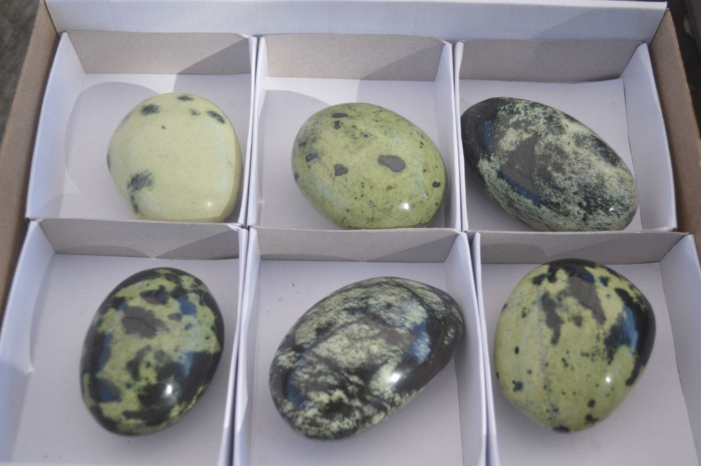Polished Spotted Leopard Stone Free Forms  x 6 From Zimbabwe - Toprock Gemstones and Minerals 