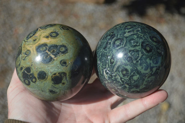Polished Stromatolite / Kambamba Jasper Spheres  x 2 From Madagascar