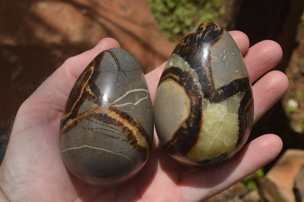 Polished Septaria Dragon's Eggs (Calcite & Aragonite) x 5 From Mahajanga, Madagascar - TopRock