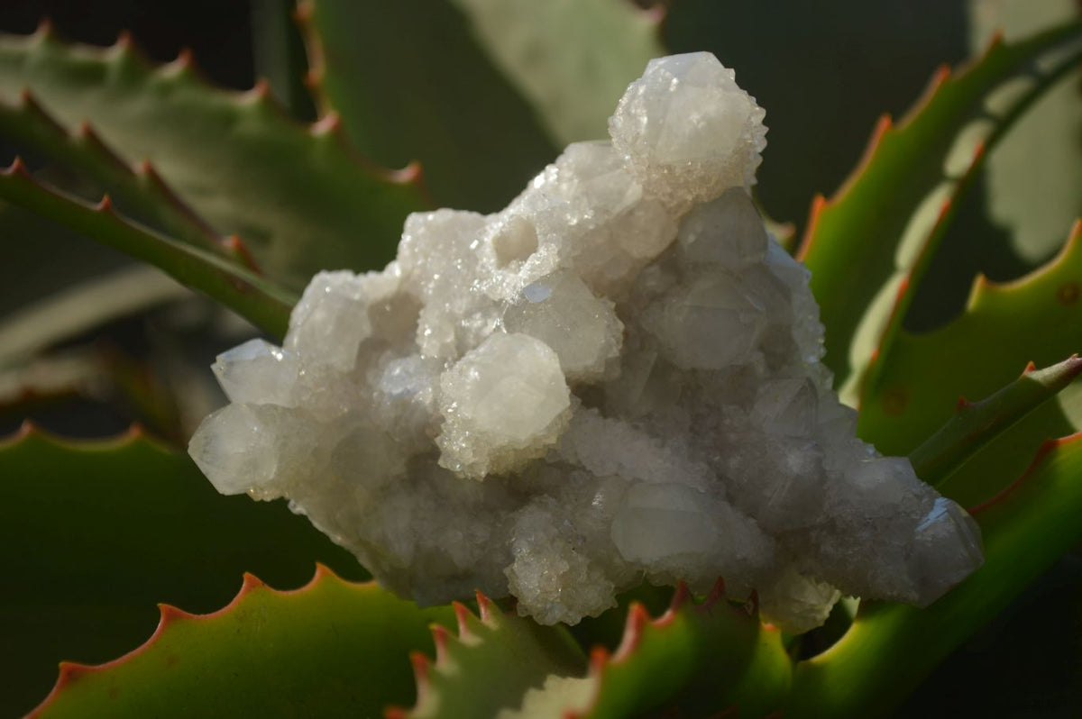 Natural Mixed Selection Of Minerals & Crystals  x 6 From Southern Africa - Toprock Gemstones and Minerals 