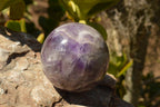 Polished Lovely Dark Dream Amethyst Spheres  x 2 From Madagascar - TopRock