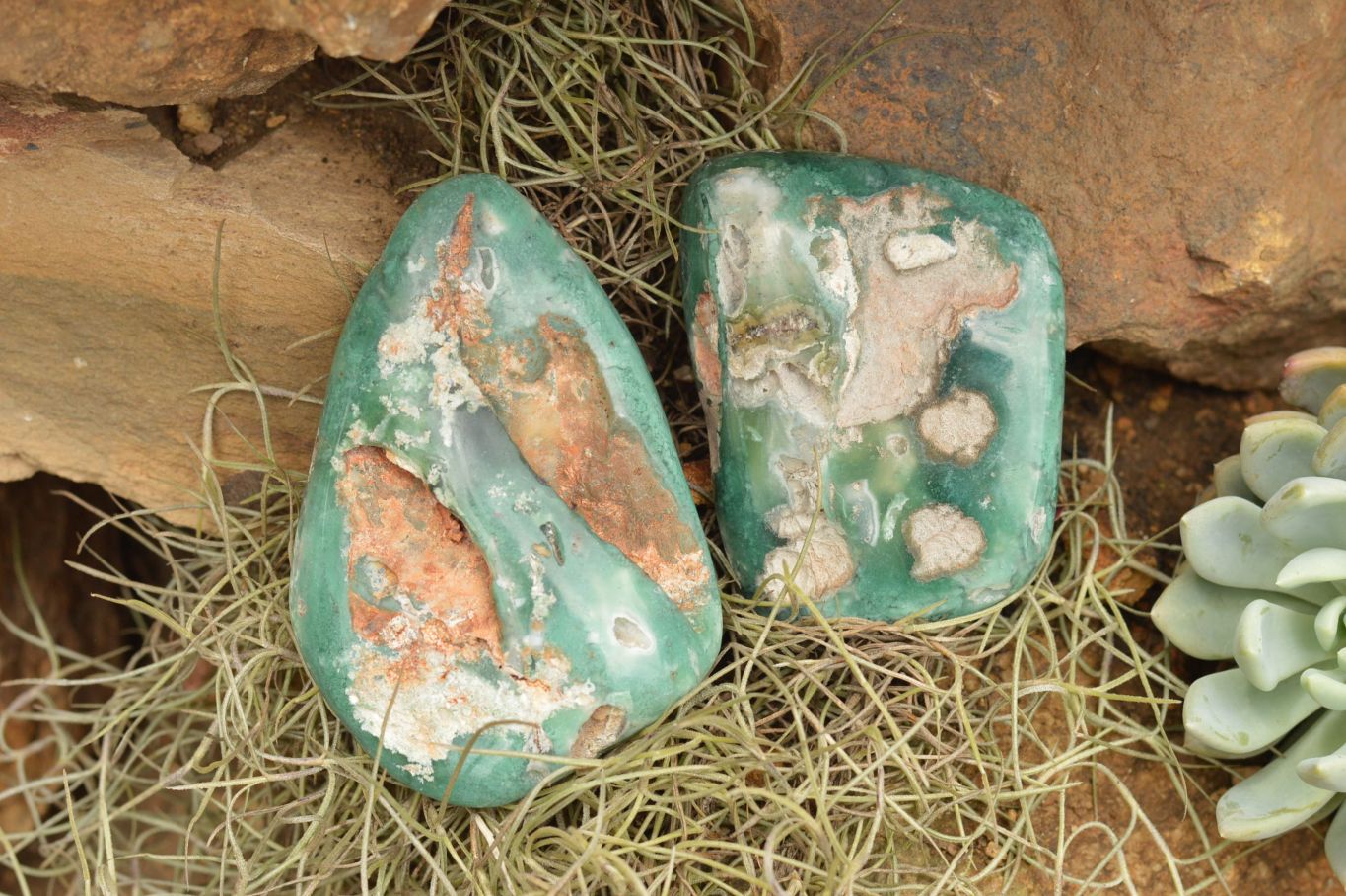 Polished Large Green Mtorolite / Chrome Chrysoprase Free Forms  x 6 From Mutorashanga, Zimbabwe - TopRock