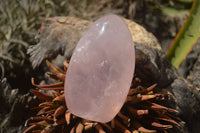 Polished  Pink Rose Quartz Standing Free Forms x 4 From Ambatondrazaka, Madagascar - TopRock