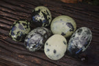 Polished Spotted Leopard Stone Free Forms  x 6 From Zimbabwe - Toprock Gemstones and Minerals 