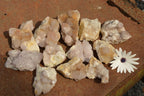Natural Lovely Selection Of Spirit / Cactus Quartz Clusters  x 12 From Boekenhouthoek, South Africa - TopRock