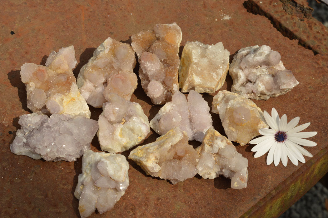 Natural Lovely Selection Of Spirit / Cactus Quartz Clusters  x 12 From Boekenhouthoek, South Africa - TopRock