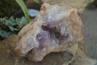 Natural Jacaranda Amethyst Cluster x 1 From Mumbwa, Zambia - TopRock