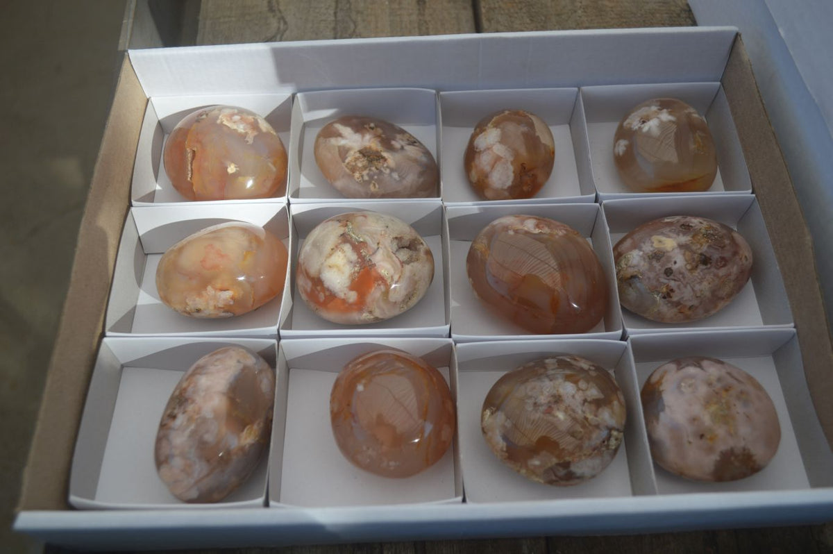 Polished Ocean  Flower Agate Palm Stones  x 12 From Madagascar - Toprock Gemstones and Minerals 