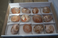 Polished Ocean  Flower Agate Palm Stones  x 12 From Madagascar - Toprock Gemstones and Minerals 