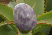 Polished Smokey Dream Amethyst Standing Free Forms  x 6 From Madagascar - Toprock Gemstones and Minerals 