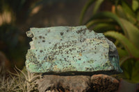 Natural Drusy Chrysocolla & Malachite Dolomite Specimens x 3 From Congo - Toprock Gemstones and Minerals 